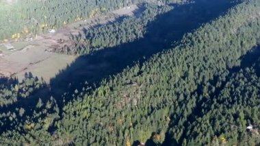 Kuzey Amerika Hava uçuş forrest üzerinde alanları