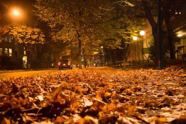 Gece ışık sonbahar park lambaları açık peyzaj