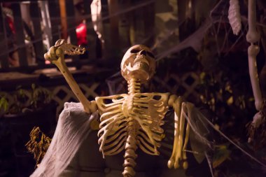 Korkunç Cadılar Bayramı dekorasyon ürkütücü iskelet insan yok