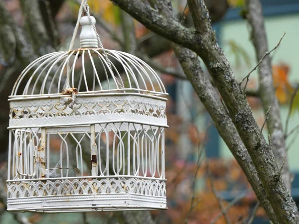 Concept vrijheid vintage cage buitenshuis geen mensen park — Stockfoto