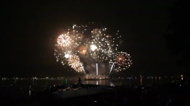 Gyönyörű tűzijáték ocean front tömeg az emberek — Stock videók