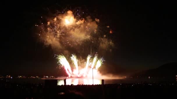 Fuegos artificiales espectáculo de colores brillantes pirotecnia rendimiento — Vídeo de stock