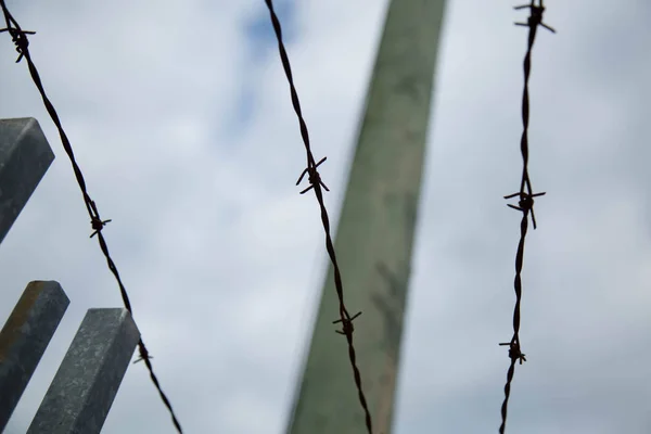 Barbed wire cloudy sky closeup concept prison — Stock Photo, Image