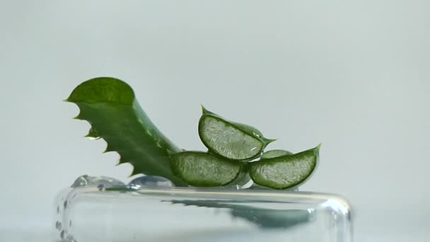 Fette di pianta di aloe vera acqua da vicino — Video Stock