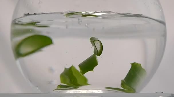 緑の新鮮なアロエベラの植物は水をスライスします。 — ストック動画