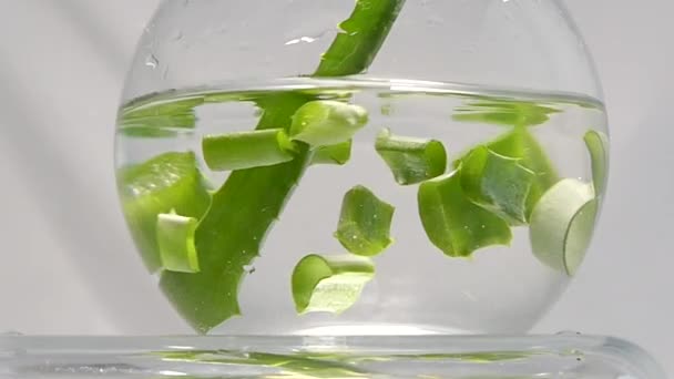 Detil morceaux d'eau flottante aloe vera — Video