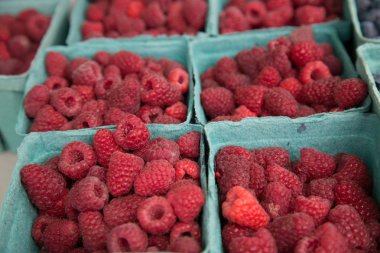 Kırmızı taze rasberries kağıt kaplar