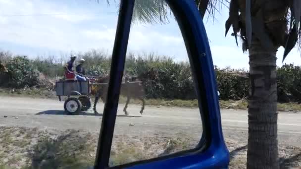 Koně kočár kampaň Varadero Kuba duben 2018 — Stock video