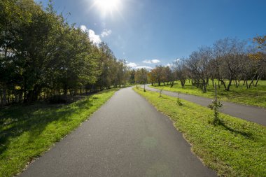 Sonbaharda güzel park manzarası