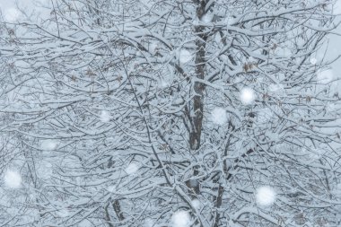 Soğuk kış kar sahnesi