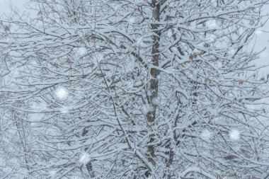 Soğuk kış kar sahnesi