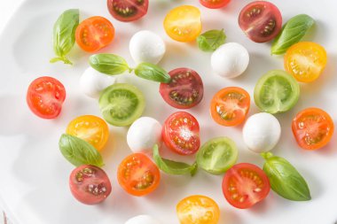 Taze taze domates alanında hasat