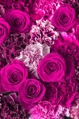 Bir duvar güzel gül çiçek yaptı