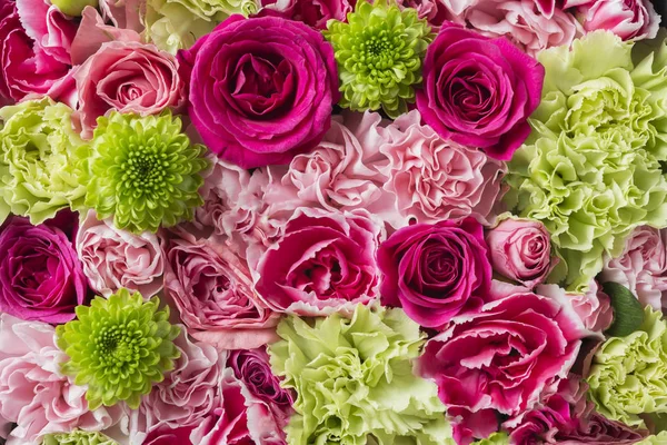 Schöne Rosenblume, die über die Mauer blüht — Stockfoto