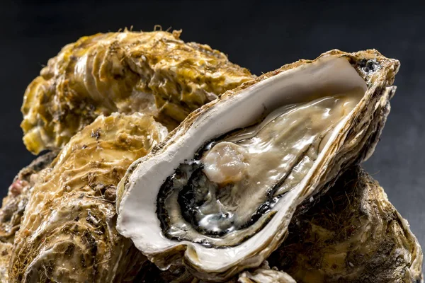 Fresh raw oyster with shell Royalty Free Stock Photos