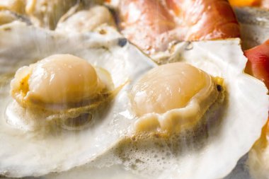 Taze ve lezzetli deniz tarağı yemekleri.