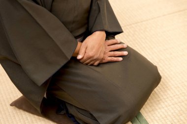 Japonya'nın geleneksel sanatlar Rakugo işte.