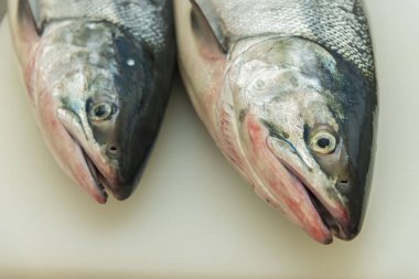 Somon yemek kolay boyutuna kesme