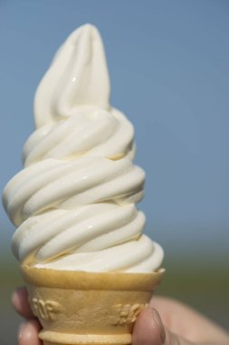 Taze sütten yapılan dondurma