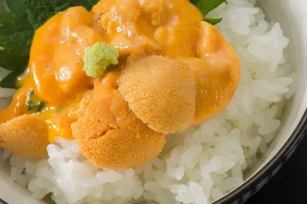 日本美味的海胆餐 — 图库照片