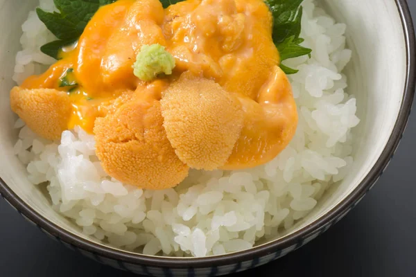 日本美味的海胆餐 — 图库照片