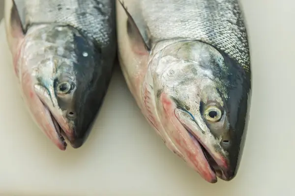 Somon yemek kolay boyutuna kesme