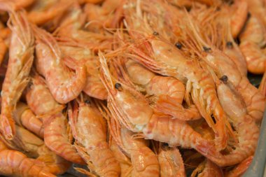 Pişirme taze karides ile yapılan