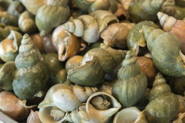 Aşçı taze deniz ürünleri ile yapılan