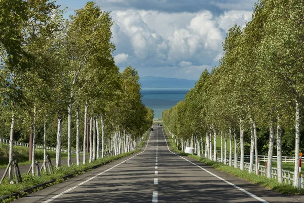 Various roads in Japan