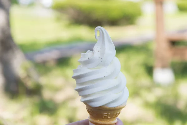 Crème Lait Fraîche Savoureuse — Photo