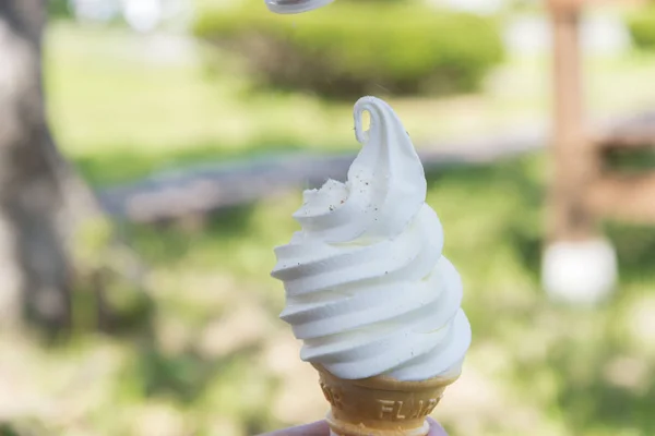 Fresh Tasty Milk Cream — Stock Photo, Image