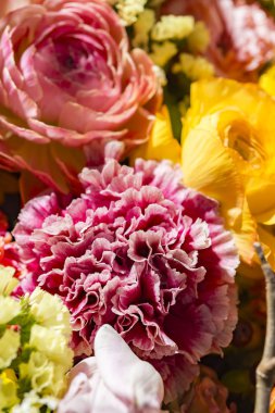 Güzel çiçek duvarları renkli