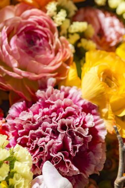 Güzel çiçek duvarları renkli