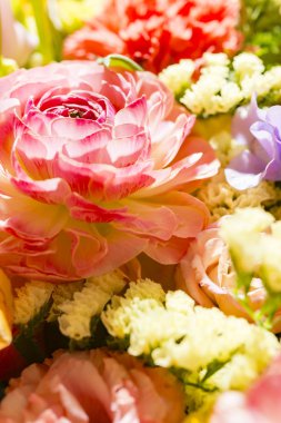 Güzel çiçek duvarları renkli