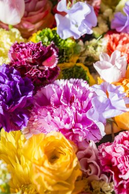 Güzel çiçek duvarları renkli