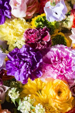 Güzel çiçek duvarları renkli