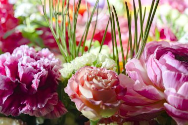 Güzel çiçek duvarları renkli