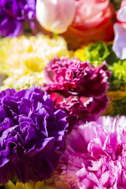 Güzel çiçek duvarları renkli