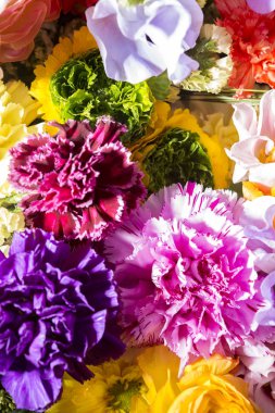 Güzel çiçek duvarları renkli