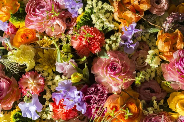 Hermosas Paredes Flores Colores — Foto de Stock