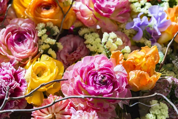 Hermosas Paredes Flores Colores — Foto de Stock