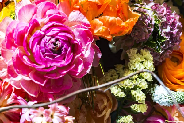 Hermosas Paredes Flores Colores — Foto de Stock