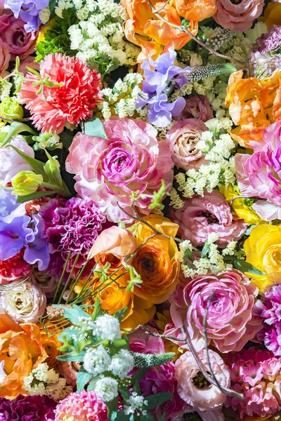 Kwiatek Ścianach Kolorowe — Zdjęcie stockowe