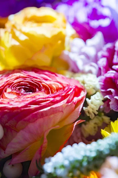Schöne Blumenwände Aus Farbenfrohen — Stockfoto