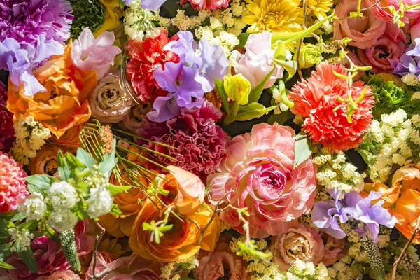 Hermosas Paredes Flores Colores — Foto de Stock