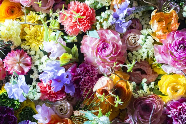 Kwiatek Ścianach Kolorowe — Zdjęcie stockowe