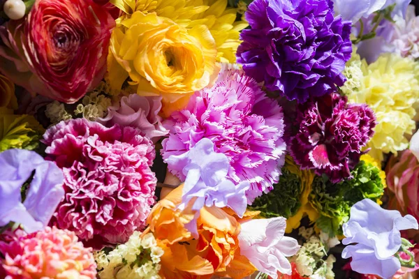 Beautiful Flower Walls Colorful — Stock Photo, Image