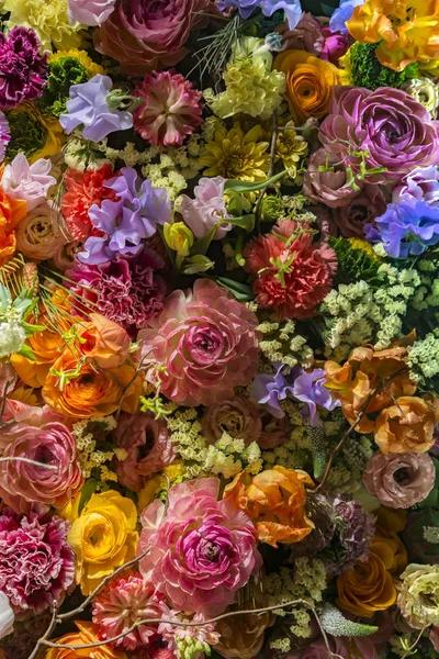 Lindas Paredes Flores Coloridas — Fotografia de Stock