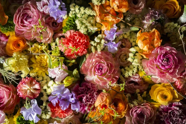 Hermosas Paredes Flores Colores — Foto de Stock