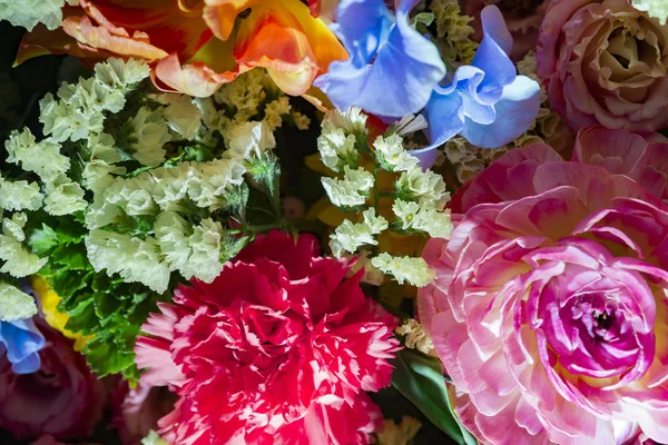 Lindas Paredes Flores Coloridas — Fotografia de Stock